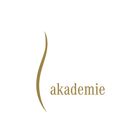 Eislauf Akademie Zug